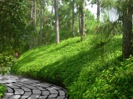 CurvedPath